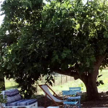 I Fichi Bianchi * Cutrofiano