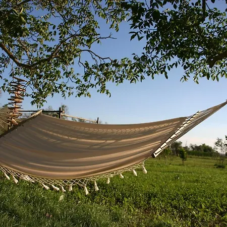Bed and Breakfast I Fichi Bianchi Cutrofiano